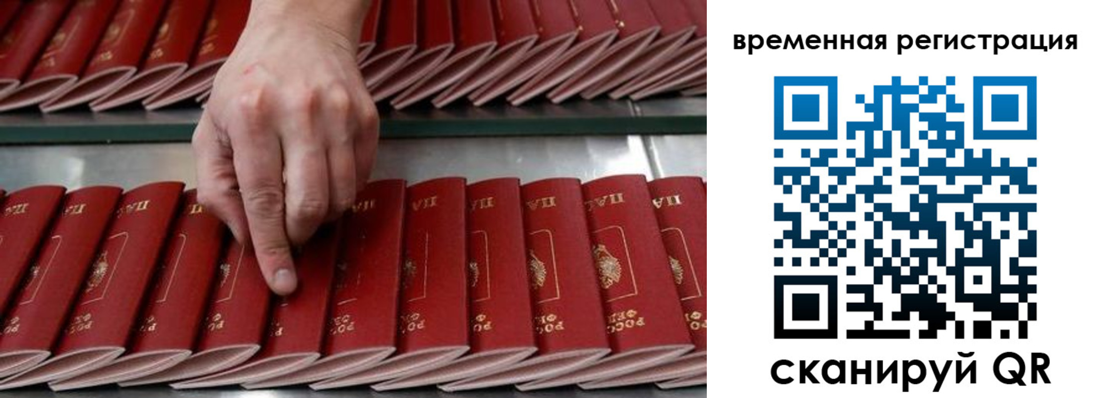 временная регистрация в квартире в Курганской области